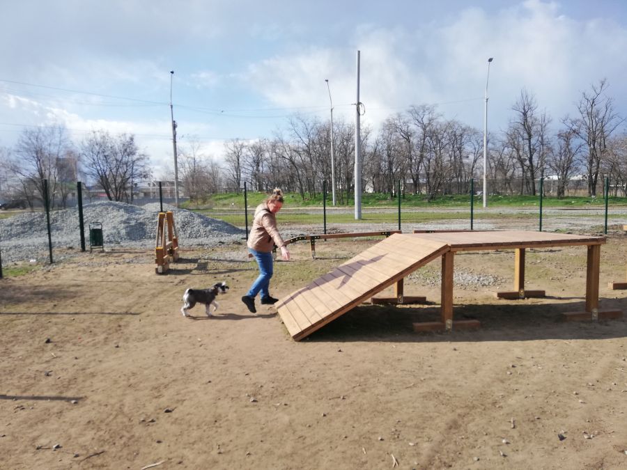 На одном из жилмассивов Днепра появится новый парк для выгула собак - рис. 1