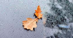 Прохладно и дождливо: какой будет погода в Днепре 2 ноября - рис. 5
