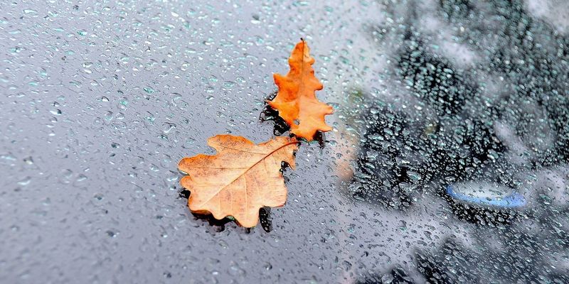 Прохладно и дождливо: какой будет погода в Днепре 2 ноября - рис. 1