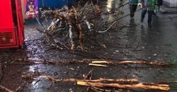 Непогода в Днепре: упавшие ветви оборвали провода (Фото) - рис. 13