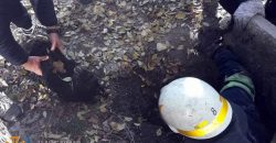 В Каменском спасатели достали из канализационного колодца собаку - рис. 5