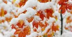 Зима на пороге: в понедельник в Днепре обещают первый снег - рис. 5