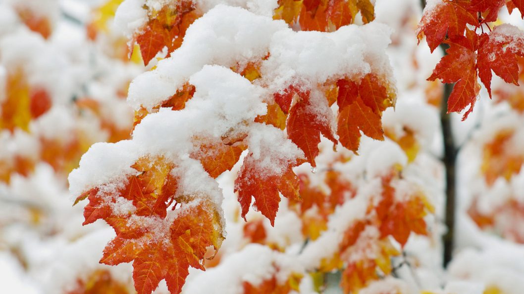 Зима на пороге: в понедельник в Днепре обещают первый снег - рис. 1