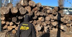 В Днепропетровской области пресекли «схему» незаконной вырубки леса - рис. 2