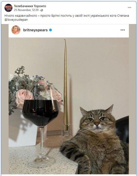 Любимчик Бритни Спирс: украинский кот Степан стал Instagram звездой (Фото) - рис. 3
