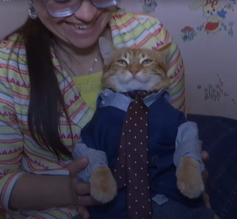 Самый социализированный кот: Микки из Житомира попал в Книгу рекордов Украины - рис. 1