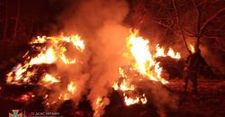 В Днепровском районе во время пожара сгорело 6 тонн соломы (Фото) - рис. 3