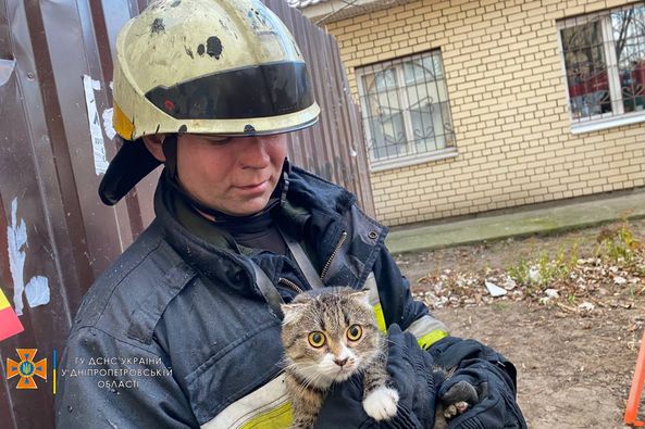 Хэппи-энд: спасенную во время пожара в Днепре кошку вернули хозяйке - рис. 1