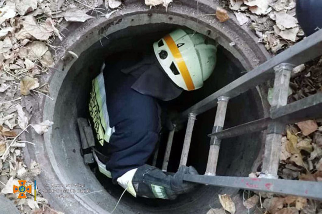 В Днепре спасатели достали пса из канализационного колодца (Фото) - рис. 1