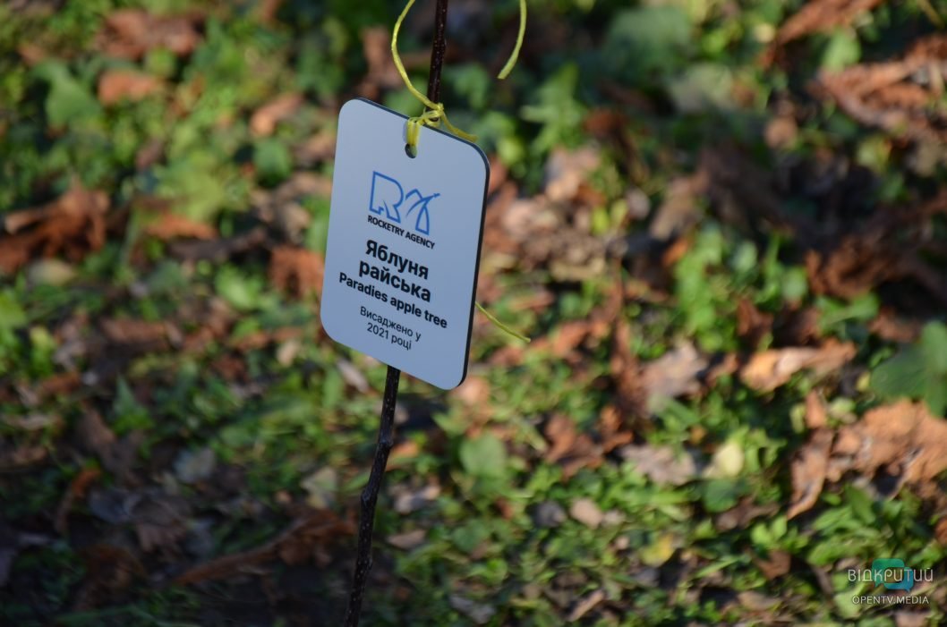 В днепровском парке Гагарина высадили 70 деревьев райской яблони (Фото) - рис. 10