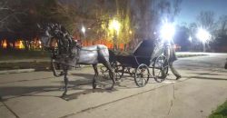 Конь с повозкой: в сквере Никополя появится новый арт-объект (Фото) - рис. 12