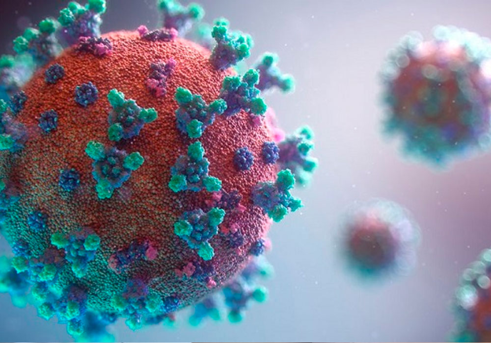 Самый опасный из всех известных: ВОЗ дала имя новому штамму коронавируса - рис. 1