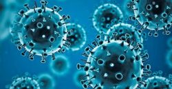35 новых смертей: статистика заболеваемости коронавирусной инфекцией в Днепре - рис. 5