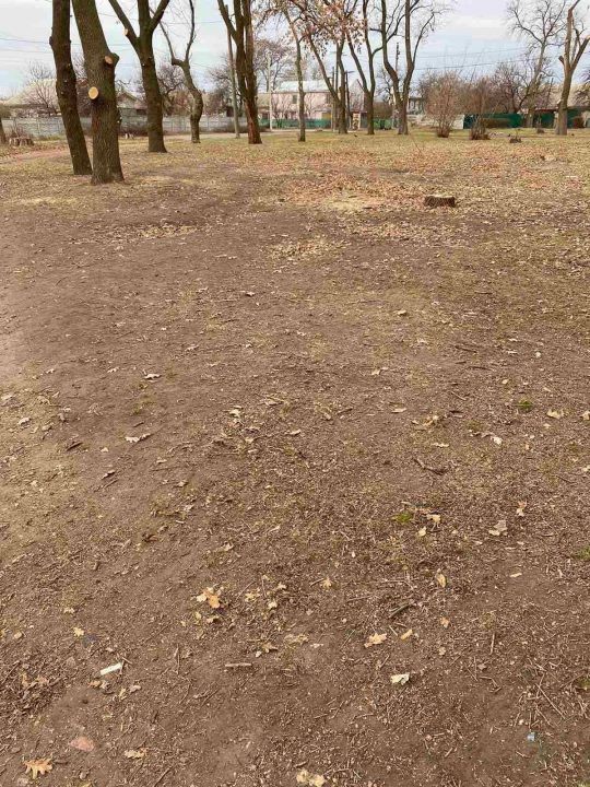 Достойный пример: в Днепре теща с зятем очистили парк от мусора - рис. 2