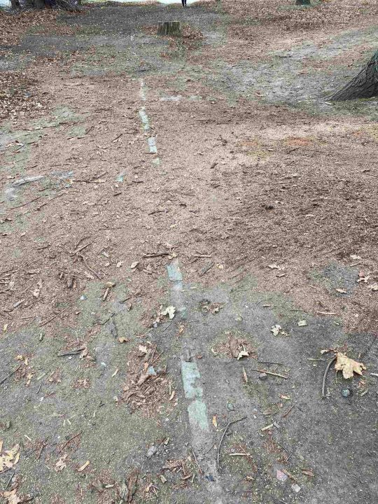 Достойный пример: в Днепре теща с зятем очистили парк от мусора - рис. 5
