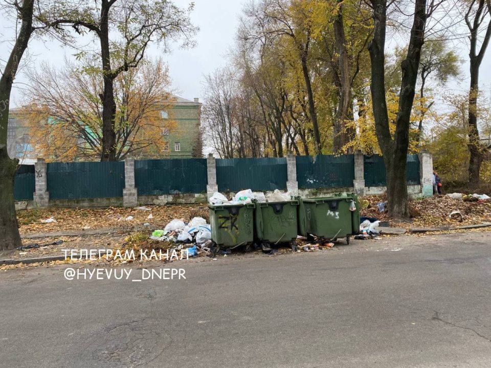 Нелюди нашего городка: в Днепре возле мусорного бака нашли шкуры собак - рис. 1
