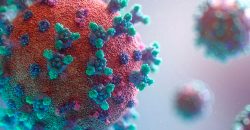 10 новых смертей: статистика заболеваемости коронавирусом в Днепре - рис. 8