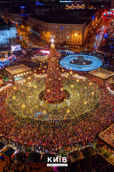 В Украине назвали ТОП-10 лучших новогодних елок (Фото) - рис. 1
