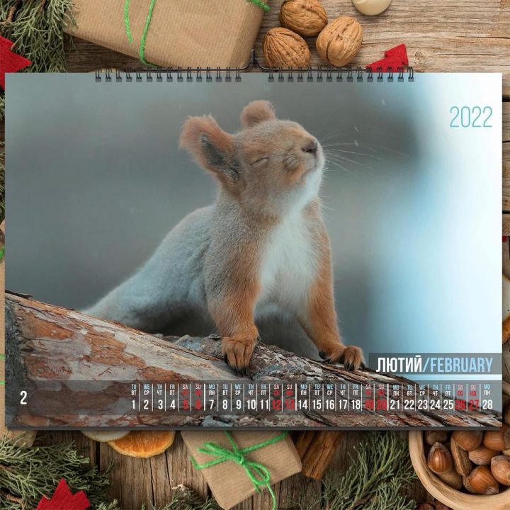Фотограф из Днепра представил «беличий» календарь на 2022 год - рис. 3