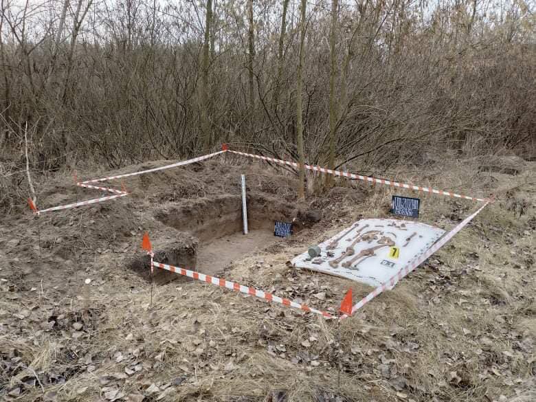 В Днепре нашли останки воинов времен Второй мировой (Фото) - рис. 1