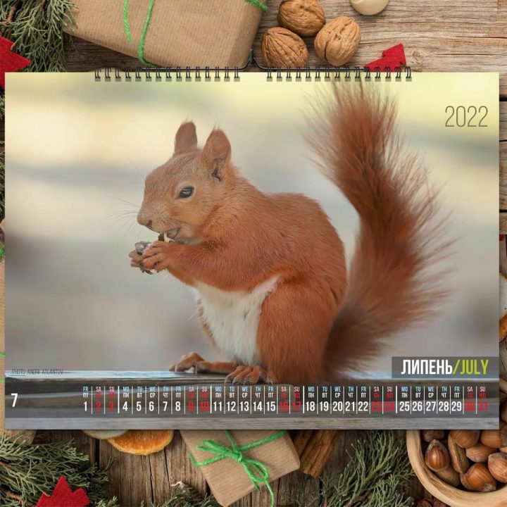 Фотограф из Днепра представил «беличий» календарь на 2022 год - рис. 8