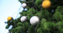 «Рождество на льду»: в Новокодакском районе Днепра открыли новогоднюю ёлку - рис. 9