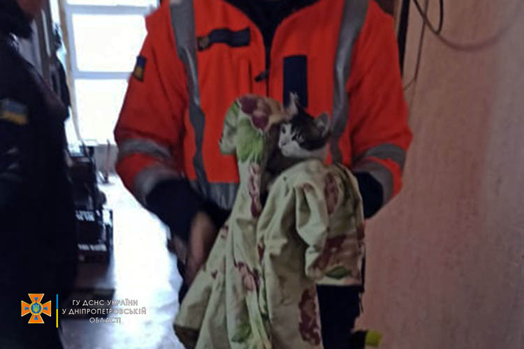 В Днепре спасатели достали котёнка из вентиляционной шахты - рис. 1