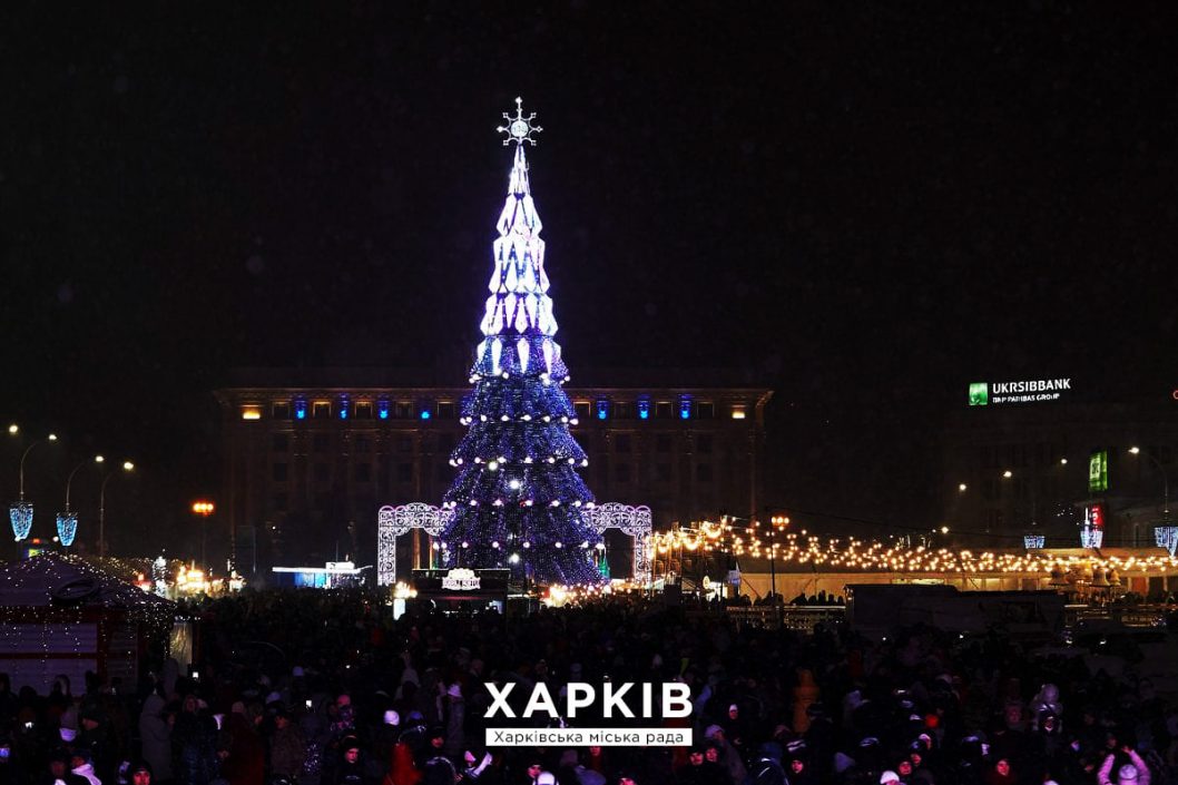 В Украине назвали ТОП-10 лучших новогодних елок (Фото) - рис. 5