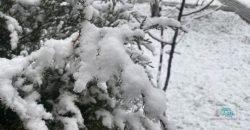 Настоящая зима на пороге: в Днепре выпал долгожданный снег (Фото) - рис. 10