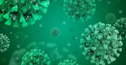 В Днепре 10 умерших от коронавируса: статистика на 28 декабря - рис. 8