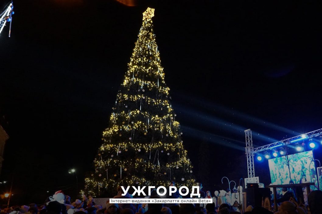 В Украине назвали ТОП-10 лучших новогодних елок (Фото) - рис. 8