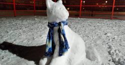 В Днепропетровской области девушка слепила из снега кота (Фото) - рис. 2
