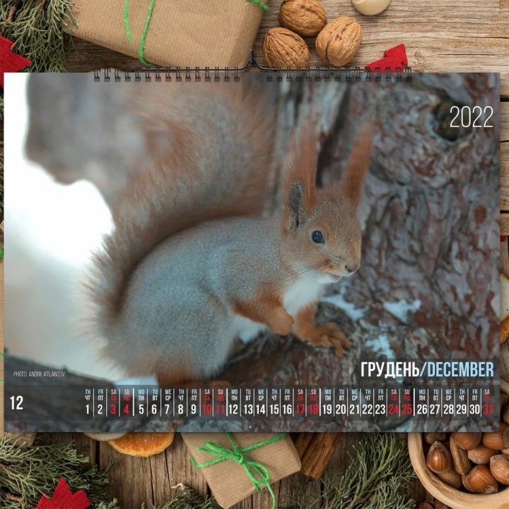 Фотограф из Днепра представил «беличий» календарь на 2022 год - рис. 13