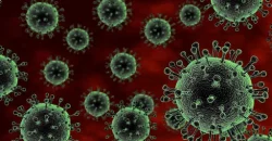 13 новых смертей: сколько днепрян заразились коронавирусной инфекцией - рис. 6