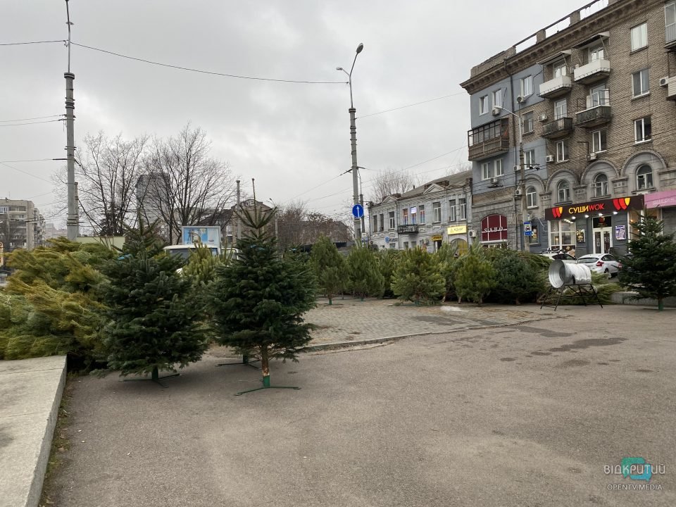Какая стоимость ёлок в Днепре