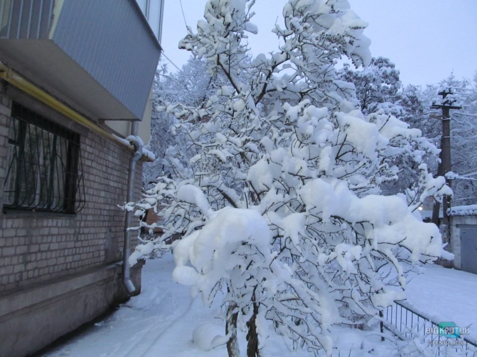 Зимняя сказка: Днепр накрыло снежным покрывалом (Фото) - рис. 5