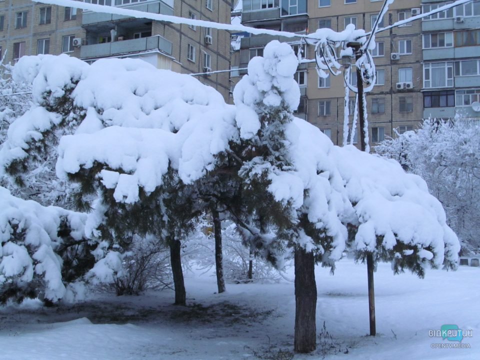 Зимняя сказка: Днепр накрыло снежным покрывалом (Фото) - рис. 7