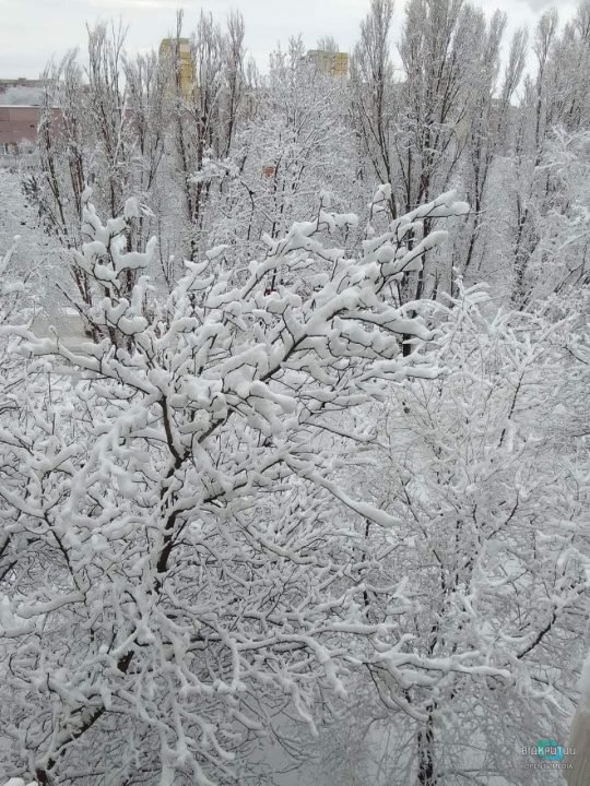 Зимняя сказка: Днепр накрыло снежным покрывалом (Фото) - рис. 2