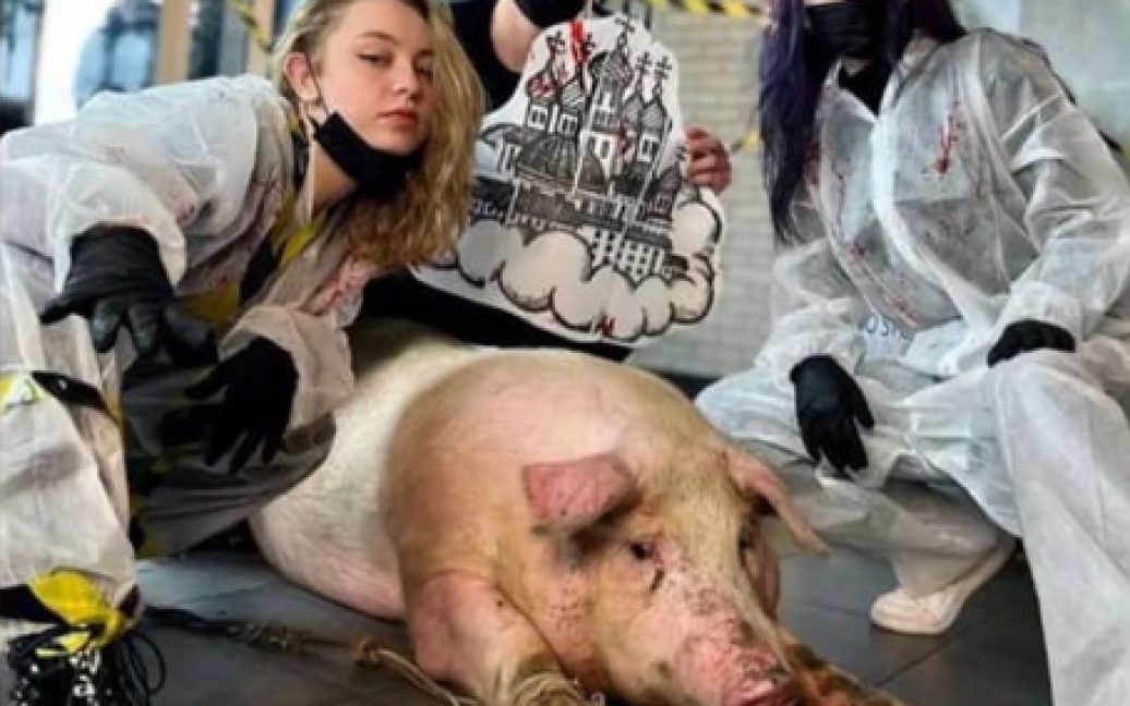 В Киеве сделали татуировку свинье: на горе-мастеров написали заявление в полицию - рис. 1