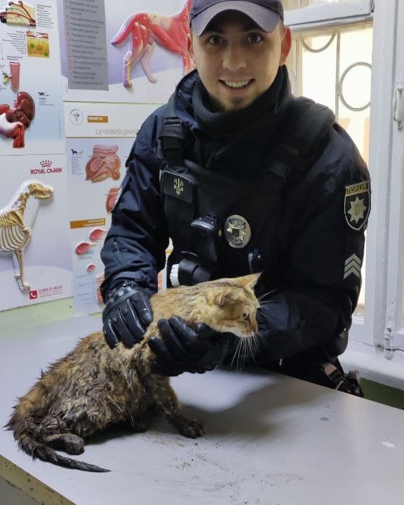Патрульные Днепра спасли беременную кошку, которая попала под колеса машины - рис. 1