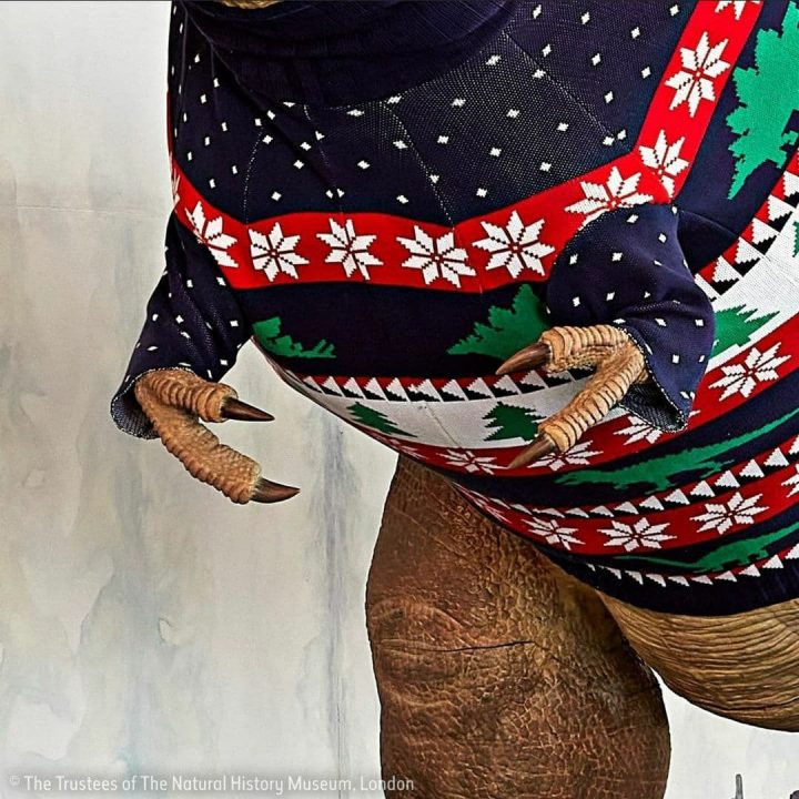 Новогодний тиранозавр: в музее Великобритании ящера нарядили в праздничный свитер - рис. 2