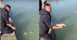 «Пьяное» озеро: в Китае тысячи рыб напились вина и всплыли на поверхность - рис. 16