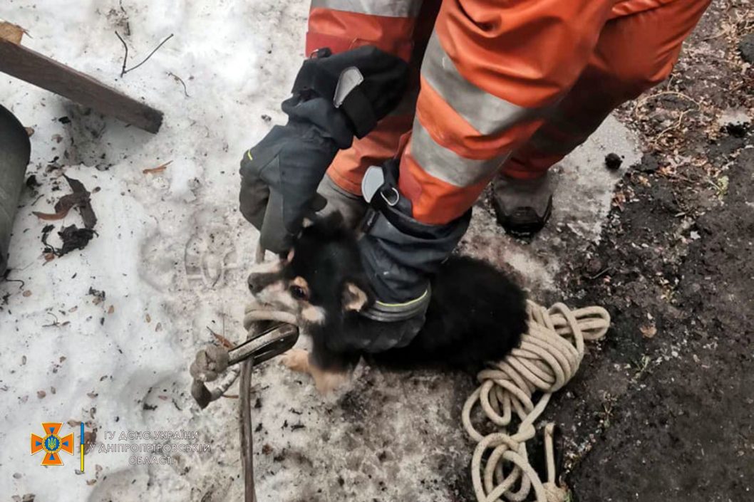На Днепропетровщине спасатели достали из западни щенка - рис. 3
