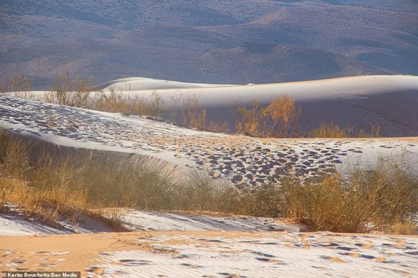 Редкое явление: на пески пустыни Сахары выпал снег (Фото/Видео) - рис. 3