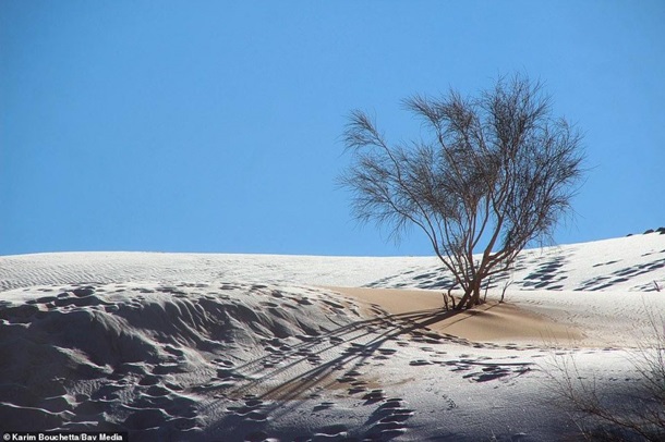 Редкое явление: на пески пустыни Сахары выпал снег (Фото/Видео) - рис. 4