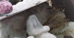 В Днепре житель слепил из снега скульптуру девушки с питомцем (Фото) - рис. 7