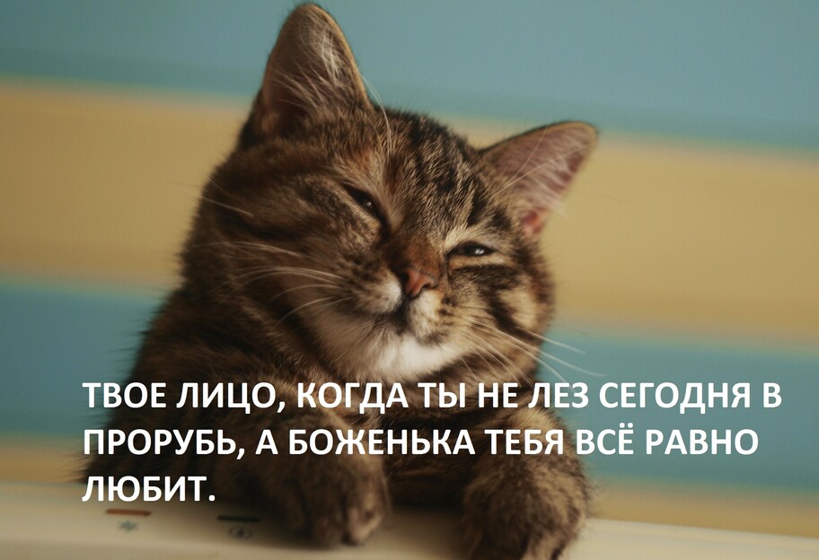 "Джанго Охлажденный": социальные сети взорвались крещенскими фотожабами - рис. 3