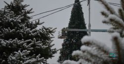 До свиданья, Новый год: в Днепре убирают праздничную елку в парке Глобы (Фото) - рис. 6
