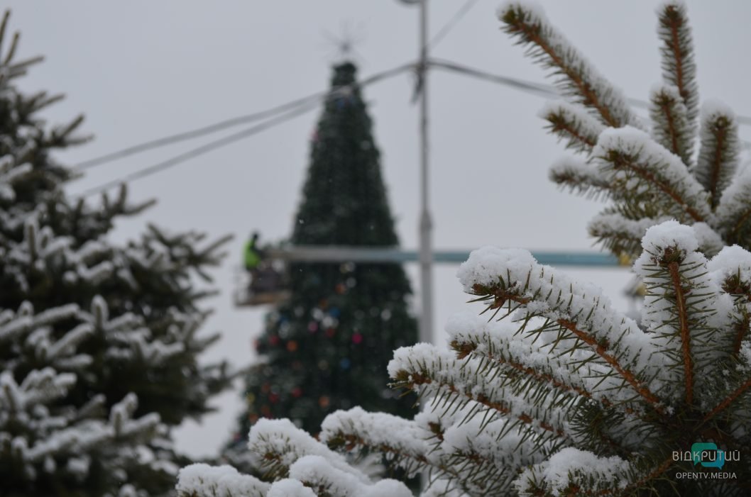 До свиданья, Новый год: в Днепре убирают праздничную елку в парке Глобы (Фото) - рис. 9