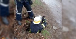 В Новомосковске спасатели достали щенка из заброшенного коллектора - рис. 18